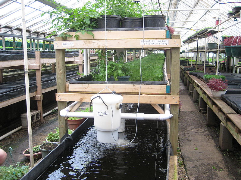 Greenhouse Aquaponics System Design